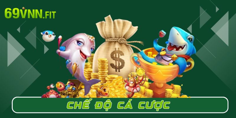 Chế độ cá cược Câu cá phát tài bằng vật phẩm cúng bái cực chất